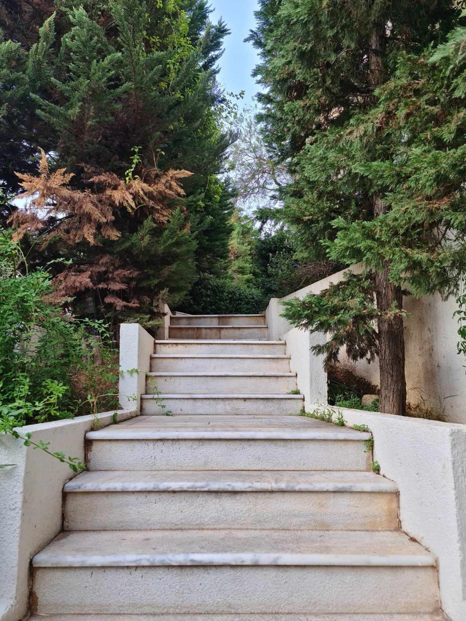 "Athens Light" Luxury Spacy Appartment, Agia Paraskevi Atenas Exterior foto
