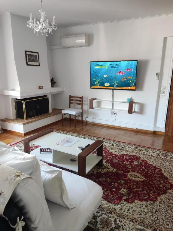 "Athens Light" Luxury Spacy Appartment, Agia Paraskevi Atenas Exterior foto